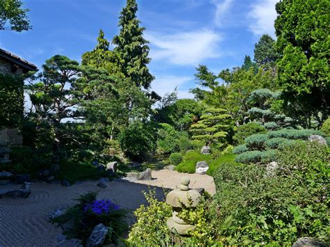 eric borja|jardin japonais erik borja.